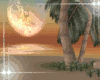 Sunset Beach 5
