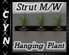 Strut M/W Hanging Plants
