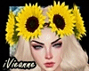 ♻ Sunflower Matahari