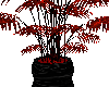 DQT- Reflect plantes red