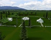 SUMMER TIME FARM