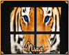 *N B+G Tiger picture