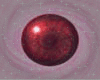 [M1105] L Red Eyes