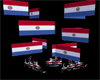 Paraguay Flag Poofer