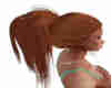 Ginger Hair Pony