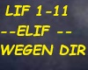 ELIF - WEGEN DIR