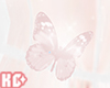 Ko llAnimated Butterfly