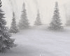 Winter▲ Landscape