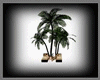 [R]Sunset Palm Recliner