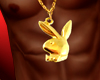 Gold Playboy Bunny