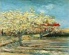 Orchard Blossom van Gogh