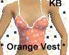 Orange Vest