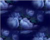 Blue flower Backround