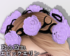 [E]*Pastel Rose Crown*