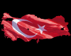 SK Türk Bayrak Sticker
