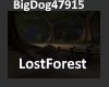 [BD]LostForest