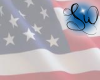 [SW]USA Transparent Flag