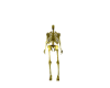 Golden Skeleton