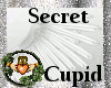 ~QI~Secret Cupid Wings W