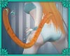 (IS) Zoe's Tail