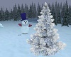 Snow Pine Tree
