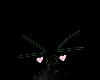 Awww 