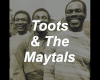 Toots&Maytals-54-46 Was.