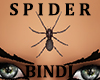 Spider Bindi [Male]
