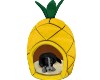 Dog in Pineapple Bed
