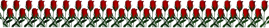 adesivo_74036391_150