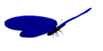 çıkartma _83088408_7