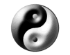 Etiqueta_323336281_16
