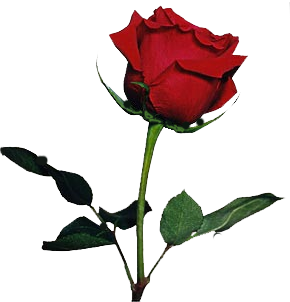 sticker_216939089_29