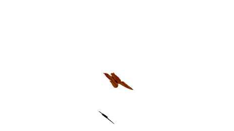 çıkartma _83088408_15