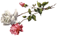 çıkartma _32335753_47600947