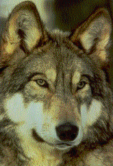 sticker_169928678_154