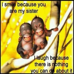 sticker_21642347_29463662