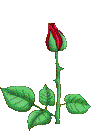 adesivo_11140685_14562596