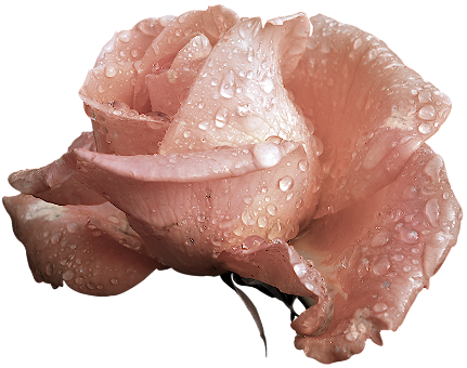 sticker_70235724_17