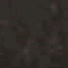 Guest_Amir694842