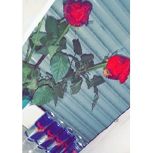 Guest_httpkira34