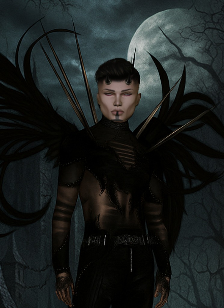 voidnull