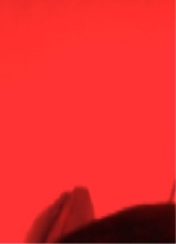 Guest_MulattoDaDon