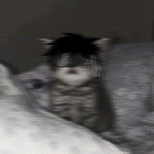 1MPART1