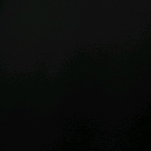 Guest_Sbst2
