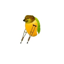 Aligito