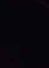 Guest_andrea654140