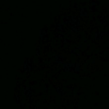 Guest_Loba27