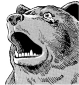 SoIivagant