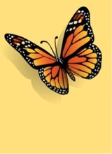 Guest_janna317841